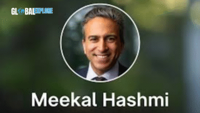 meekal hashmi