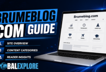 Brumeblog Com