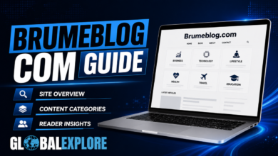 Brumeblog Com